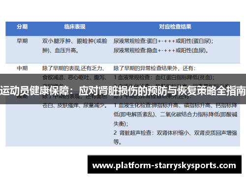 运动员健康保障：应对肾脏损伤的预防与恢复策略全指南